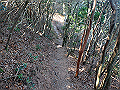 nktmn108_thumb.png