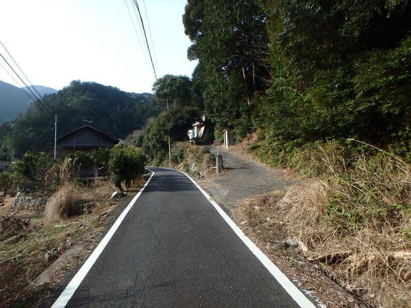 nktmn013.jpg