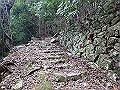 nktmn026_thumb.png