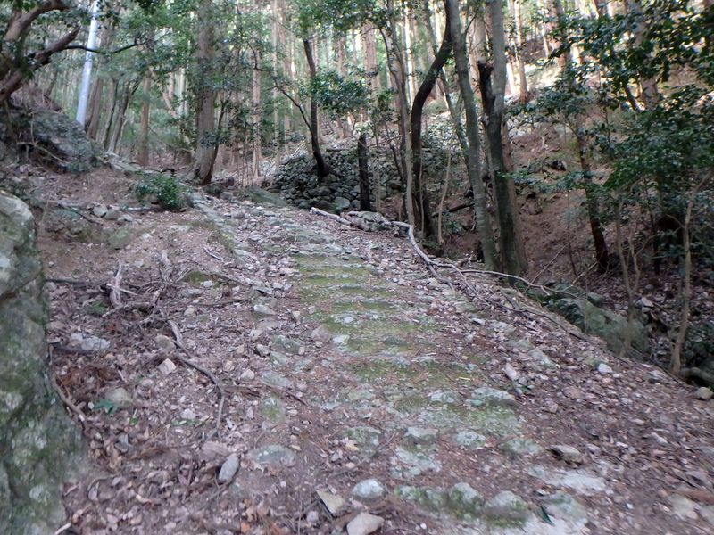 nktmn029.jpg