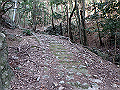 nktmn029_thumb.png