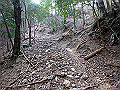 nktmn030_thumb.png