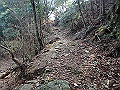 nktmn032_thumb.png