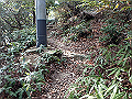 nktmn040_thumb.png