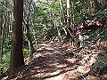 nktmn069_thumb.png