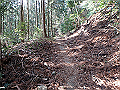 nktmn070_thumb.png