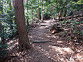 nktmn095_thumb.png