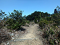 nktmn008_thumb.png