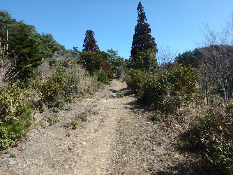 nktmn009.jpg