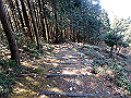 nktmn046_thumb.png