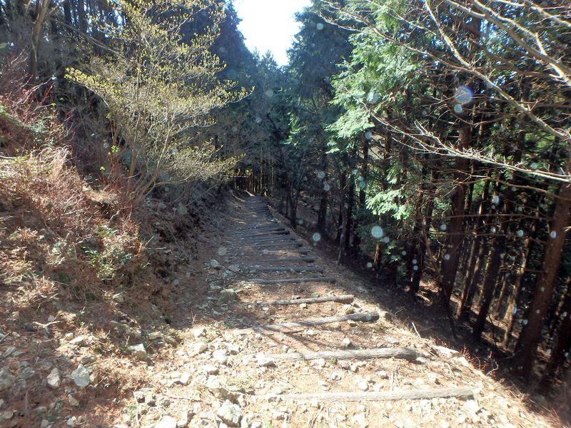 nktmn052.jpg