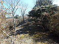 nktmn074_thumb.png