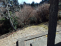 nktmn077_thumb.png