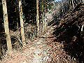 nktmn087_thumb.png