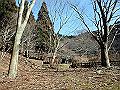 nktmn091_thumb.png
