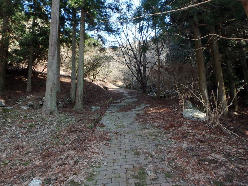 nktmn095.jpg