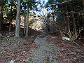 nktmn095_thumb.png
