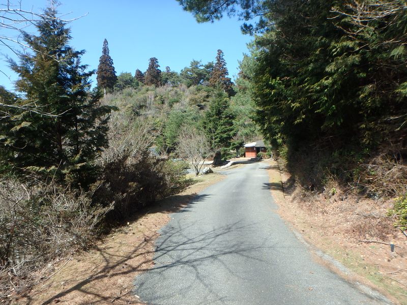 nktmn099.jpg