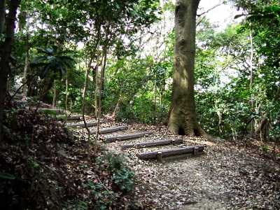 sii09.jpg