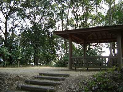 sii11.jpg