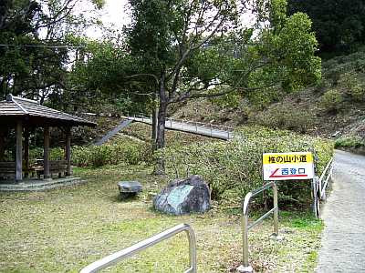 sii15.jpg