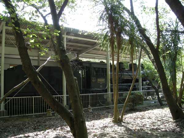 siro04.jpg
