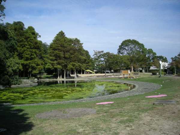 siro06.jpg