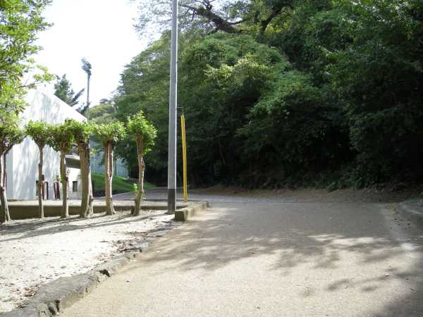 siro06.jpg