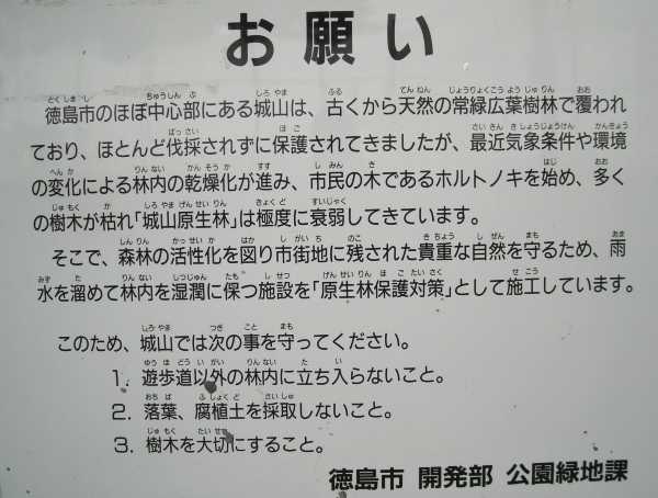 siro09.jpg