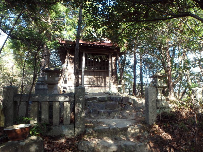 ama024.jpg