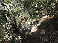 ama037_thumb.png