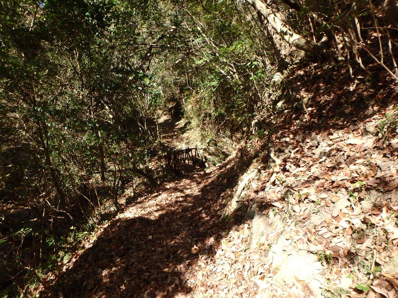 ama045.jpg