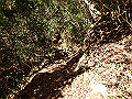 ama045_thumb.png
