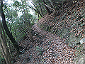 ama056_thumb.png