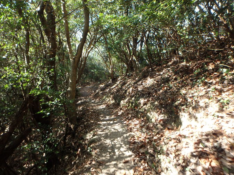 ama075.jpg