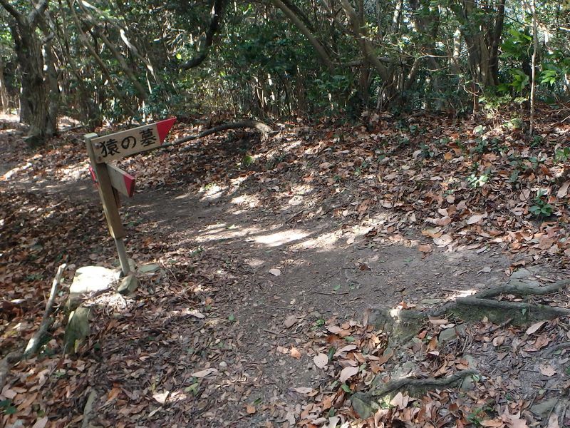 ama076.jpg