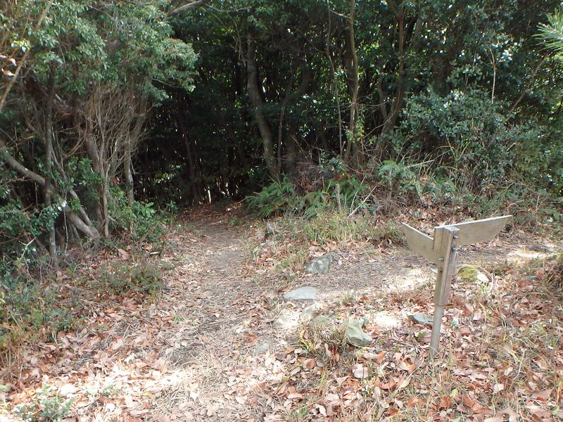 ama080.jpg