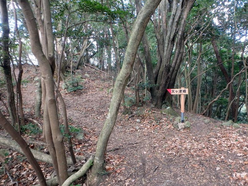 ama093.jpg
