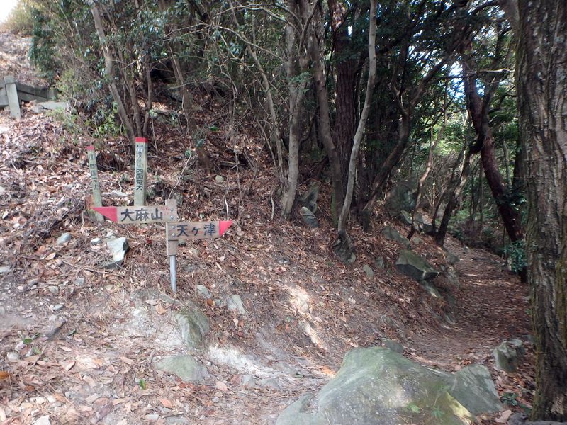 ama099.jpg