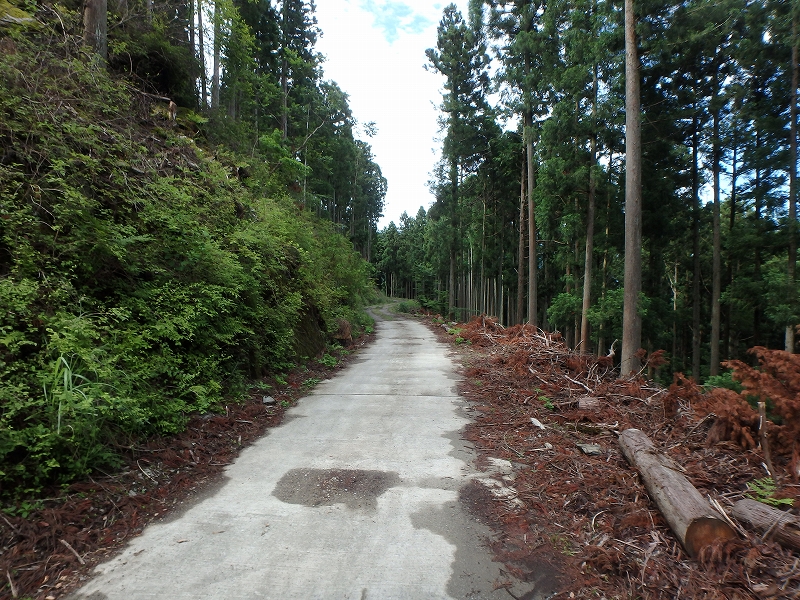 fuuki04.jpg