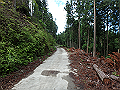 fuuki04_thumb.png