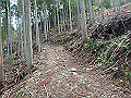 fuuki06_thumb.png