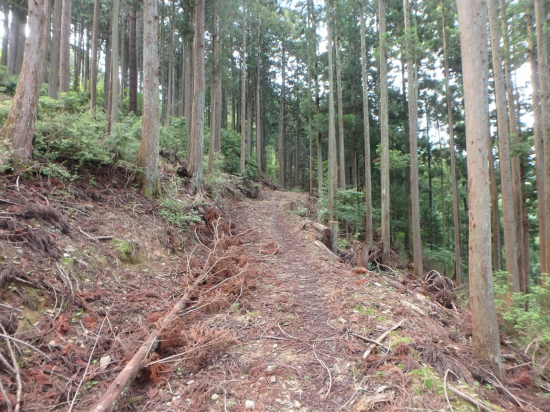 fuuki08.jpg
