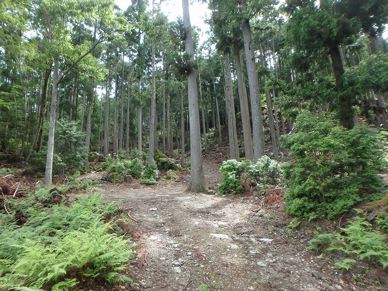 fuuki11.jpg
