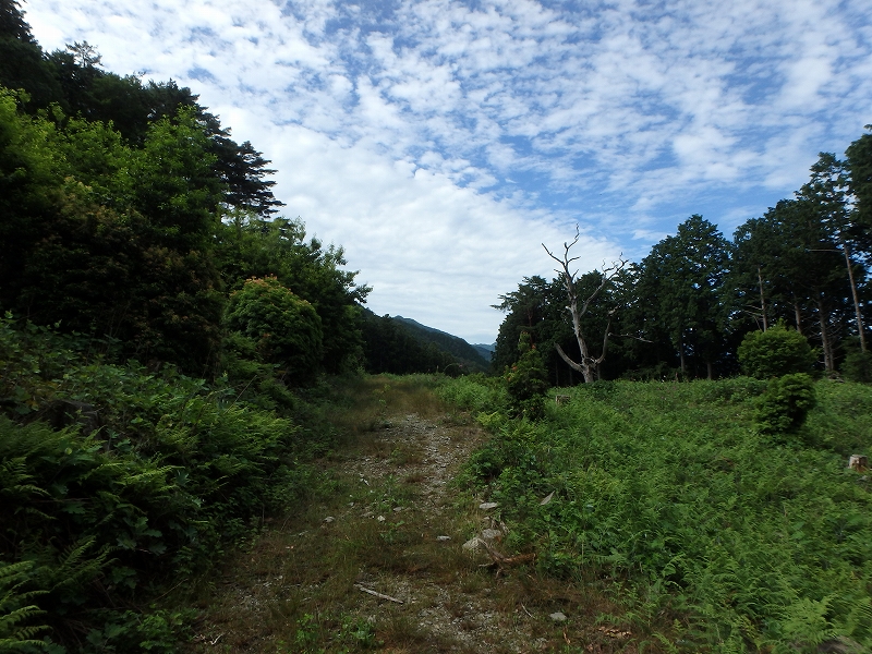 fuuki15.jpg