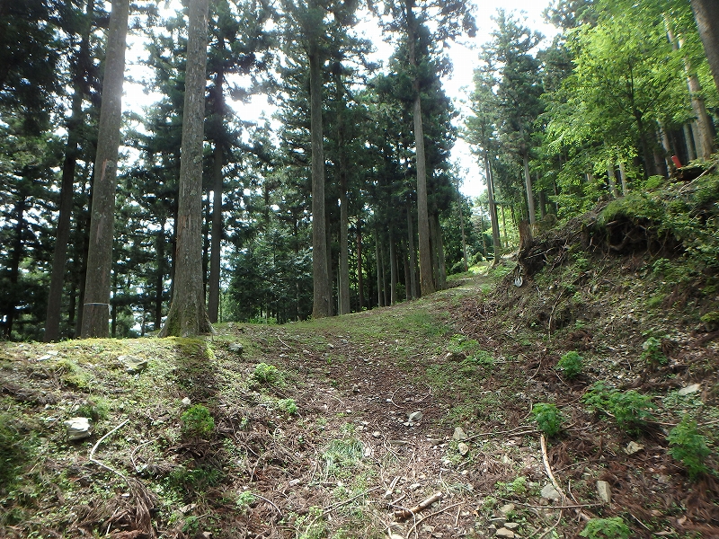 fuuki18.jpg