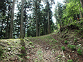 fuuki18_thumb.png