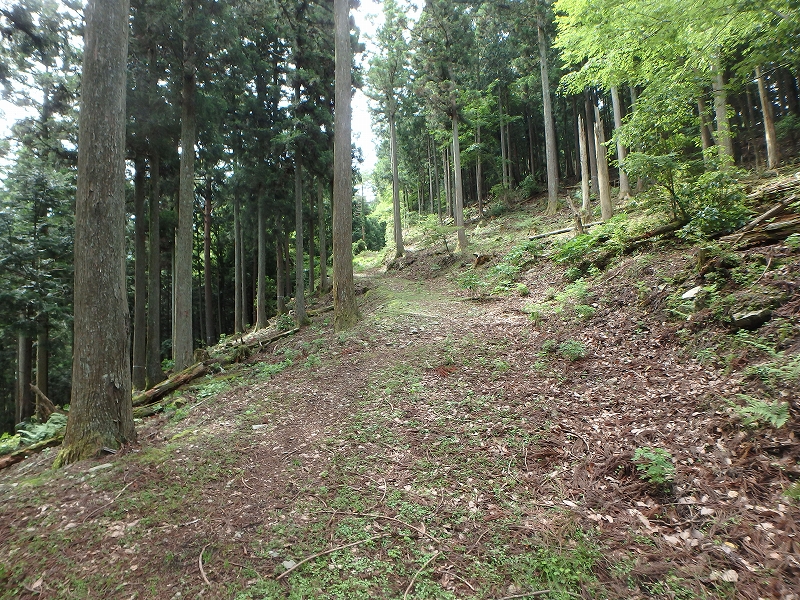fuuki20.jpg