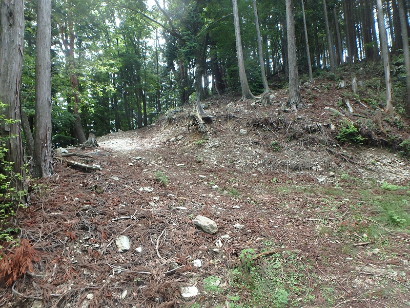 fuuki25.jpg