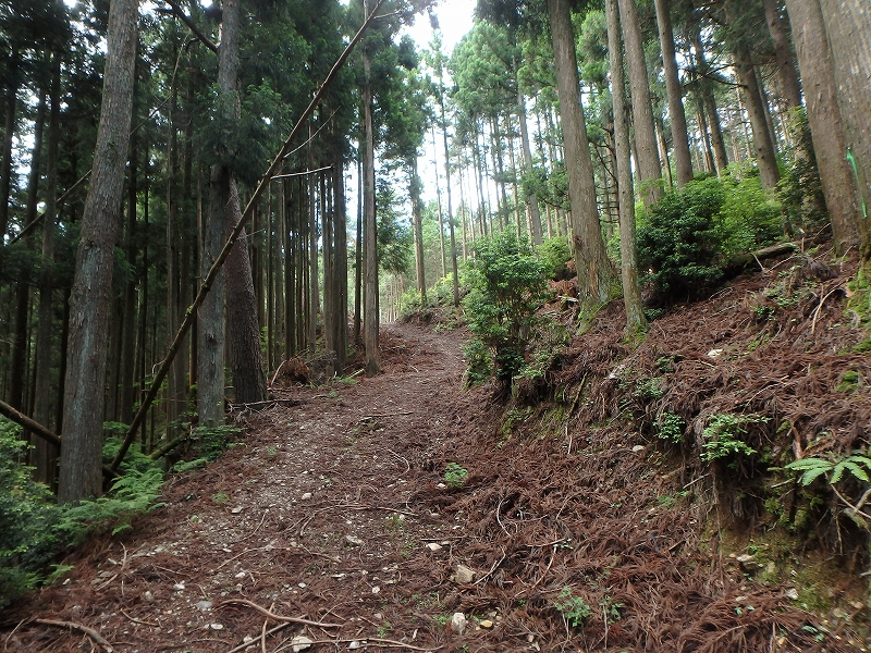 fuuki27.jpg